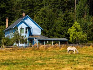 Camano Island farm