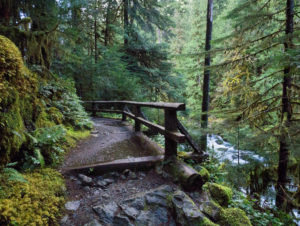 Cushman Lake hike