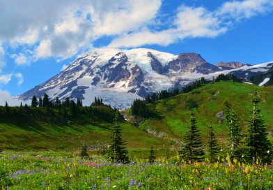 Mount Rainier