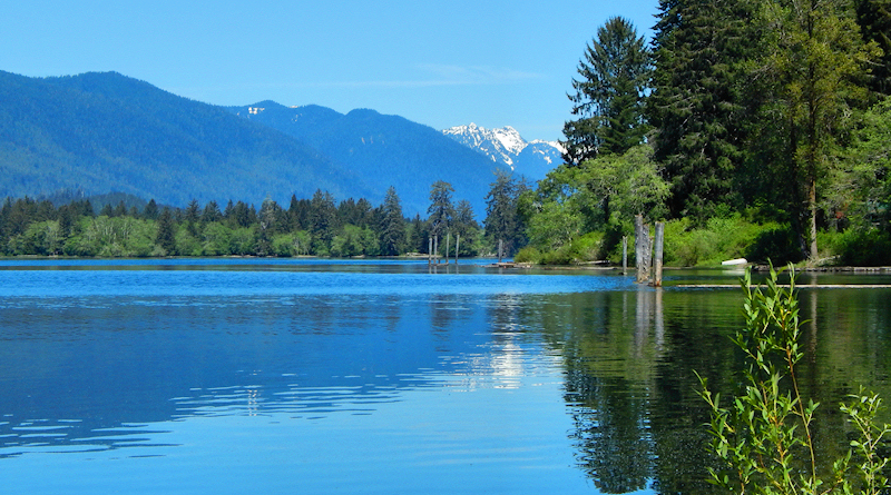 Lake Quinault | Seattle and Sound