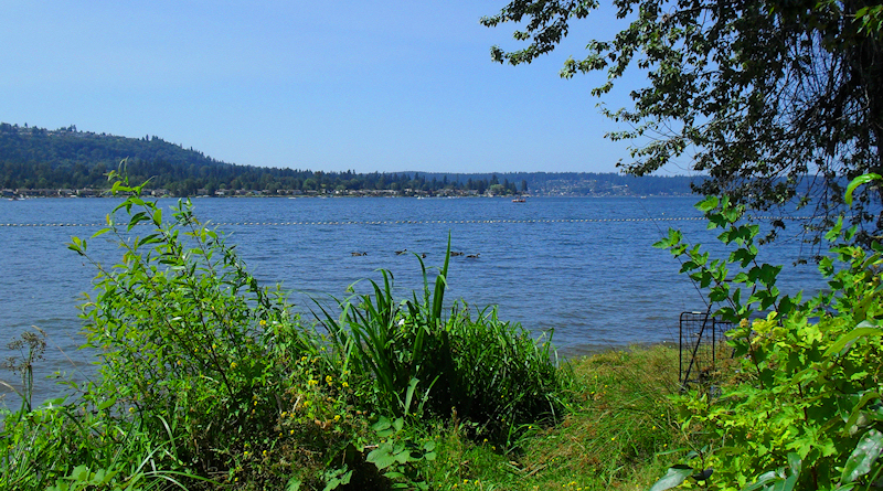 Lake Sammamish | Seattle and Sound