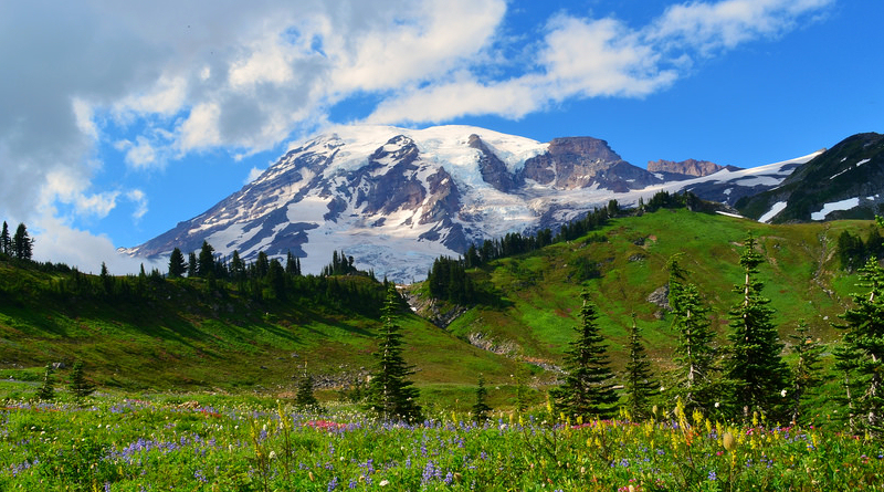 Mount Rainier