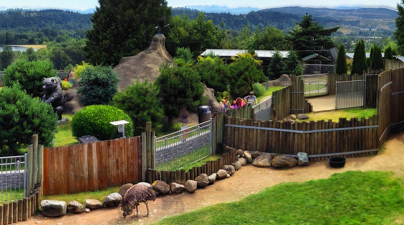 Cougar Mountain Zoo