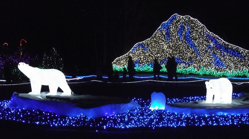 17+ Zoo Lights Point Defiance